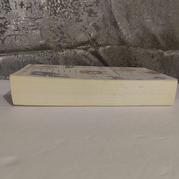 The Norton Book Of Women's Lives. By Phyllis Rose. Norton Publishing - Picture 6 of 7